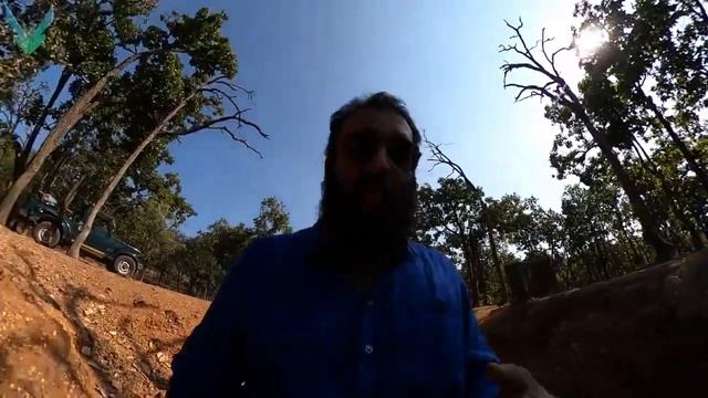 Jungles of Pachmarhi on Day 2. Moto Vlog in Hindi. Benelli TRK 502. смотреть онлайн