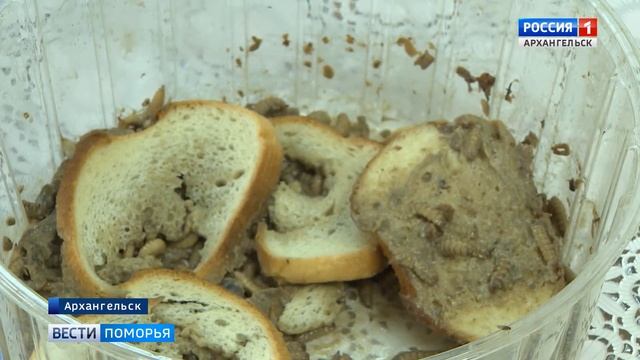 В Архангельске изучают полезные свойства личинок мухи "Чёрная львинка" смотреть онлайн