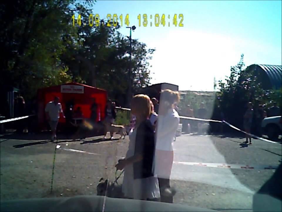 сравнение на ЛПП Волгоград смотреть онлайн