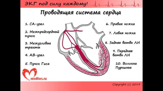 ЭКГ 1 Часть смотреть онлайн