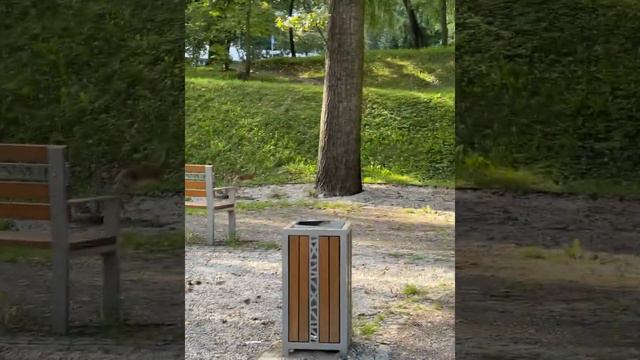 Отдыхаем, а тут такое произошло🤭 смотреть онлайн