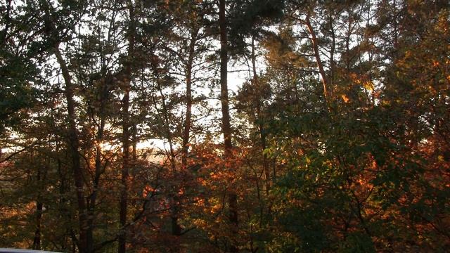 Fall Sunset 2020 / Canon Vixia HF G10 / Rode Videomic NTG смотреть онлайн