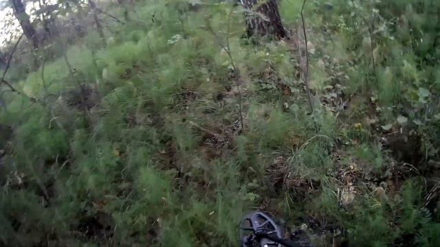 Чуть с ума не сошёл от такой находки смотреть онлайн