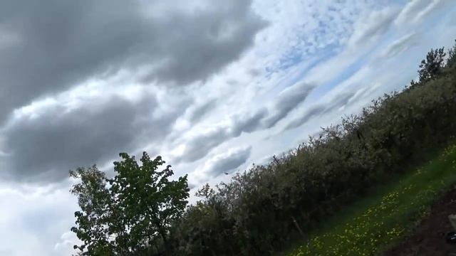 Кормим телят \ Топчем соседские огороды смотреть онлайн