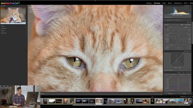 Lightroom 6 Tutorial - Edit Animal Photos In Lightroom CC Tutorial