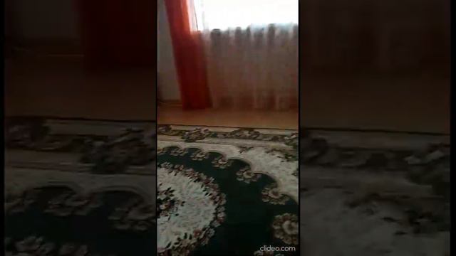 Из семейного альбома видео разные смотреть онлайн