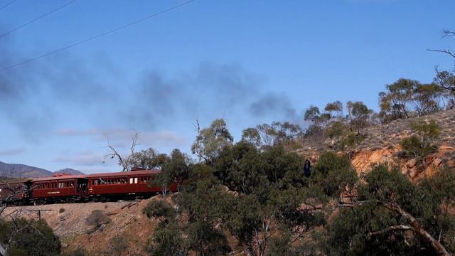 Pichi Richi Afghan Explorer смотреть онлайн