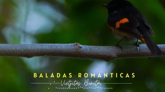 Baladas Famosos (los mejores Baladas de siempre -Canciones que emocionan (de amor, del recuerdo…) смотреть онлайн