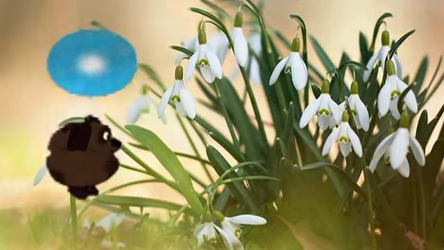 С днем рождения Валентина! смотреть онлайн