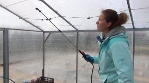 Обработка теплицы весной фитоспорином. Моем стенки и проливаем почву.