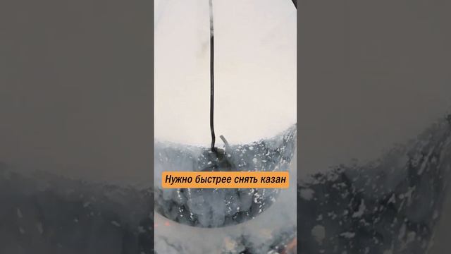Алтайский крафтовый сыр - приготовь и ты #алтай #еда #рецепты #путешествияпороссии #сыр #шортс смотреть онлайн