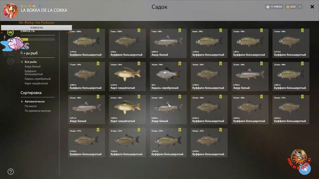 📢Русская рыбалка  4📢(PP4)Beluga Fishing