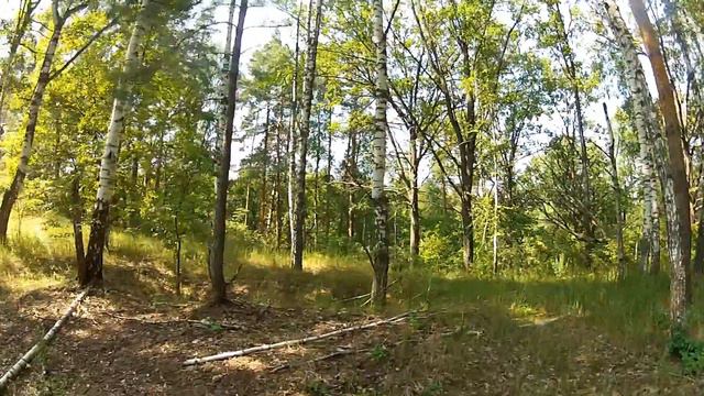 Мещёра. Верхом по Мещёре. Прогулки в лесах Мещёры.