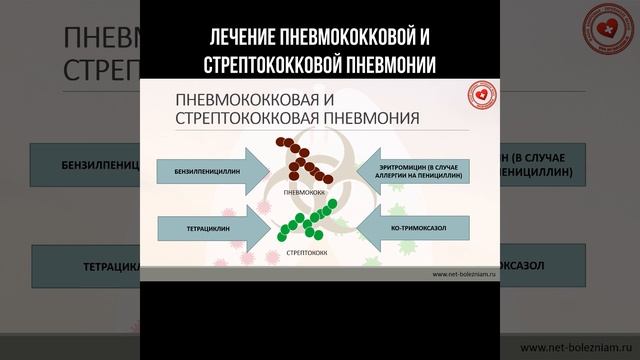 Лечение пневмококковой и стрептококковой пневмонии #пневмококк #стрептококк #пневмония #инфекция