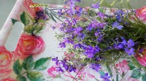 ? ЖИВОКОСТЬ ПОЛЕВАЯ ПОМОЖЕТ ВАМ ИЗБАВИТЬСЯ ОТ МНОГИХ БОЛЕЗНЕЙ . ?