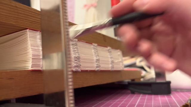 Binding a fanfic into a book (featuring my bird) ASMR смотреть онлайн