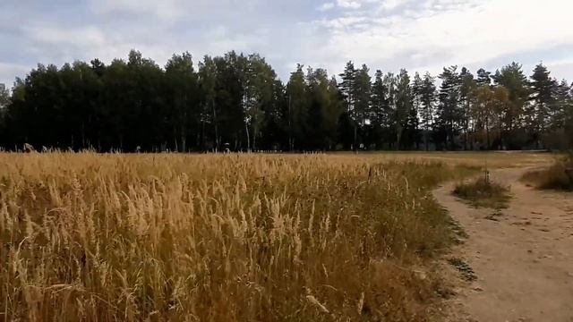 Яхонты-Ногинск. День 3. Странные деревья. Катя плывёт. Обзор ресторана, завтрак. Зоопарк. смотреть онлайн