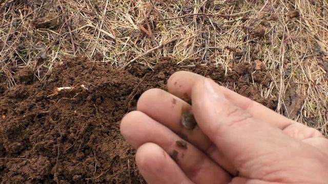 ДЕД ПРИВЁЛ ГДЕ ПРЯМО ПОД НОГАМИ ЧЕШУЯ! смотреть онлайн