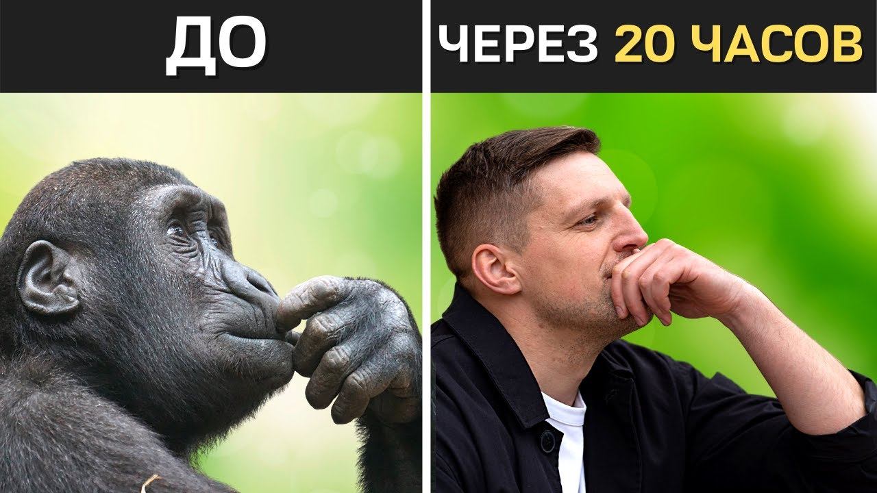 Как за 20 часов научиться чему угодно? Метод Кауфмана смотреть онлайн