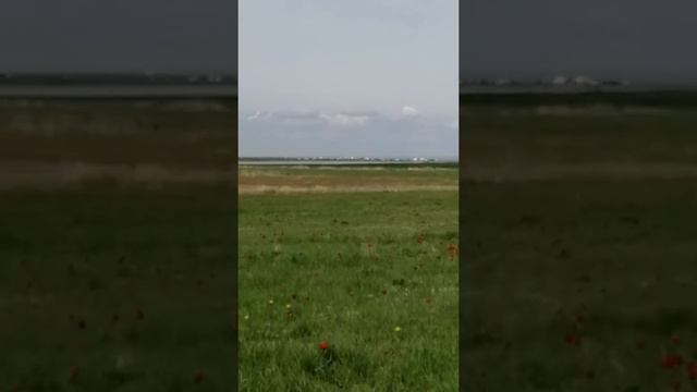 с. Солёное, Калмыкия, Весна 2019 смотреть онлайн