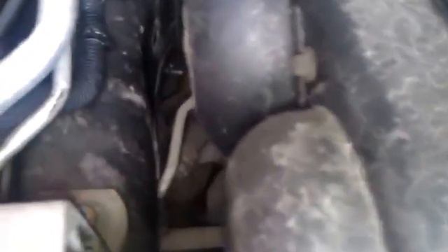 ford focus 2 1.6 акпп, посторонний шум в двигателе смотреть онлайн