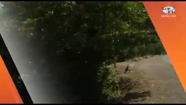 "Путешествуя по Азербайджану. Баку - Масаллы" (masalli video rus dilinde 121972) смотреть онлайн