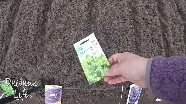 ПОСТАВИЛИ ПАРНИК. ПОСЕЯЛА РЕДИСКУ, ЗЕЛЕНЬ, САЛАТ смотреть онлайн