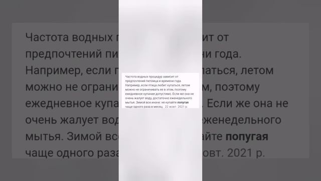 Волнистые попугаи. •| Уход и содержание |• #рекомендации смотреть онлайн