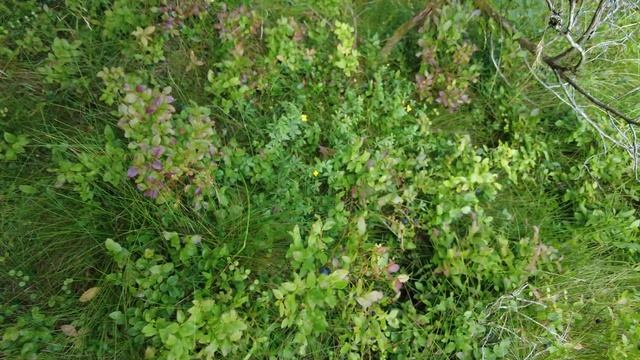 Видеоблог скандинавского дальнобоя#41: выходные дальнобойщика.