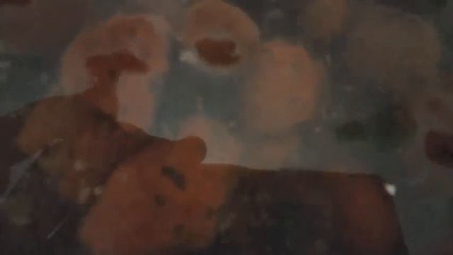 Чистка биофильтра в аквариуме черепах. Подробно! смотреть онлайн