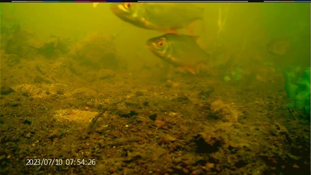 под водой на речке, подмосковье смотреть онлайн