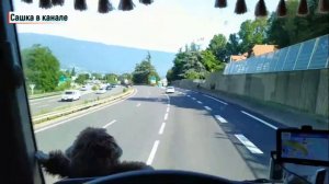 ДАЛЬНОБОЙЩИКАМ  Олесь Богус