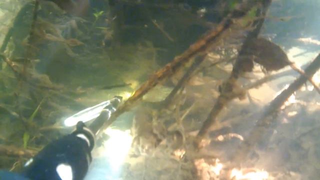 Один день на П.О.+ISAW A1 смотреть онлайн