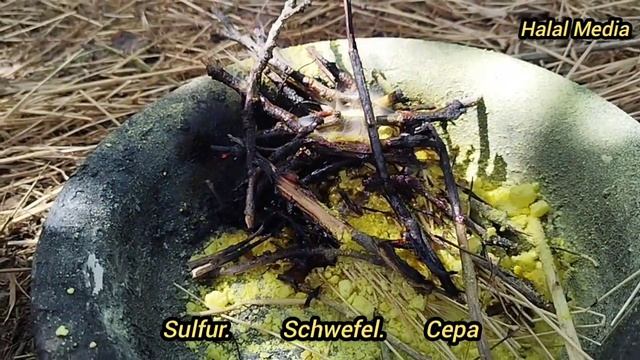 ТАДЖИКИ как делают курагу из абрикосов || КУРАГА || АБРИКОС смотреть онлайн