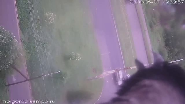 Ворона птица гордая))