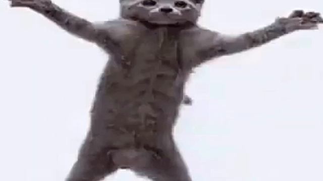 СОБАКА ФЛЕКСИТ ПОД ХАМУД ХАБИБИ ХАМУД