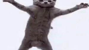 СОБАКА ФЛЕКСИТ ПОД ХАМУД ХАБИБИ ХАМУД