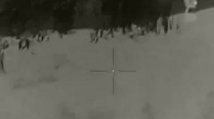 ночная охота на лису, бобра, барсука с тепловизионным прицелом iray saim scp 19w