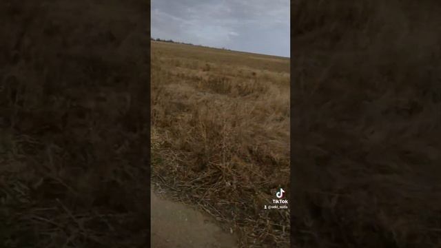 Путешествие в Пятницу 13 Ч.5 смотреть онлайн