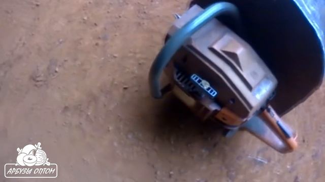 Выбивание семян арбуза от Авраама Калугина (Бразилия) 01 03 2017 смотреть онлайн