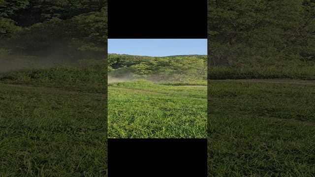Zuumav смотреть онлайн