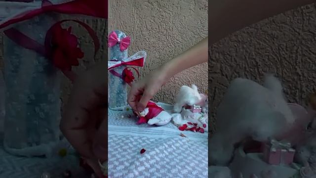 СвАдЬбА кукол ВуДу! смотреть онлайн