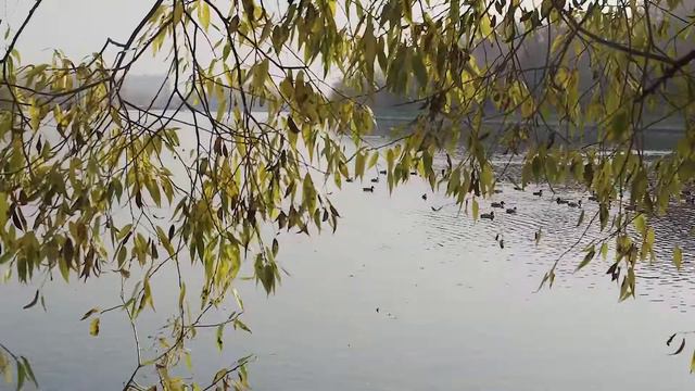 Кусково смотреть онлайн