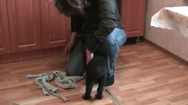 Коричневый комната