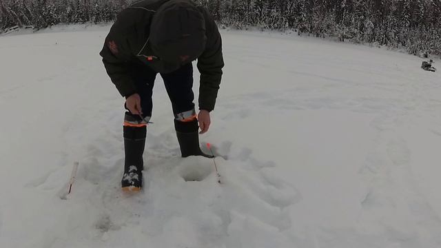 Рыбалка в глухозимье/ Ловля ельца на комбайны на реке Сысола/ День 1 смотреть онлайн