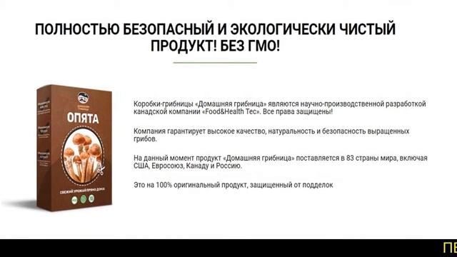 Выращивание грибов в домашних условиях для новичков смотреть онлайн