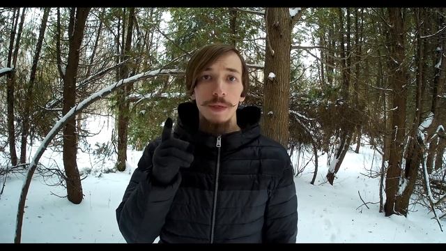 ПОЧЕМУ ТВОЯ СОБАКА ТЕБЯ НЕ СЛУШАЕТСЯ И УБЕГАЕТ ОТ ТЕБЯ НА ПРОГУЛКЕ смотреть онлайн