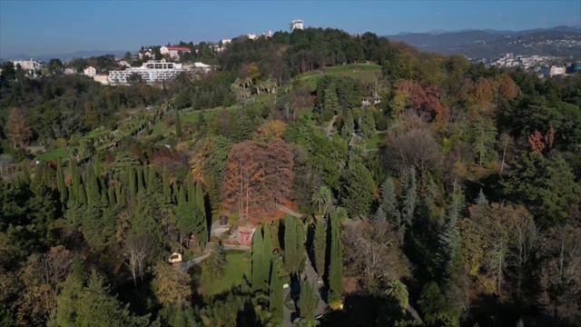 Дендрарий с высоты птичьего полёта смотреть онлайн