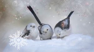 "Овечки Коровки " РОЖДЕСТВЕНСКАЯ ❤Детская песенка!!