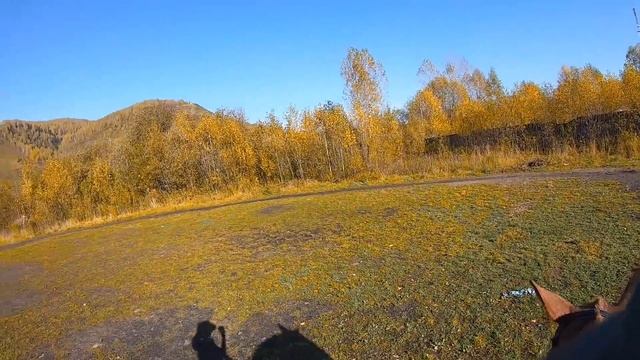 ОДИН ДЕНЬ ИЗ ЖИЗНИ КОННИКА / Конкурная тренировка KonoVLOG